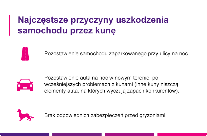 Najczęstsze przyczyny uszkodzenia samochodu przez kunę - Link4.pl