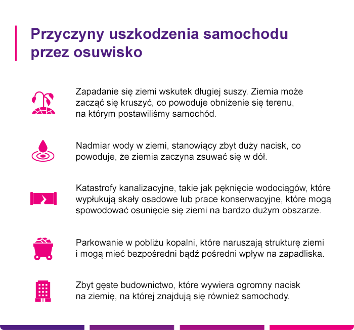 Najczęstsze przyczyny uszkodzenia samochodu przez kunę - Link4.pl