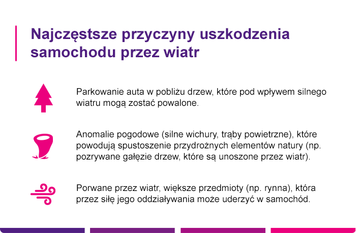 Najczęstsze przyczyny uszkodzenia samochodu przez kunę - Link4.pl