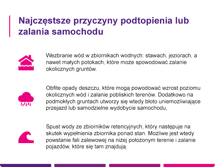 Najczęstsze przyczyny uszkodzenia samochodu przez kunę - Link4.pl