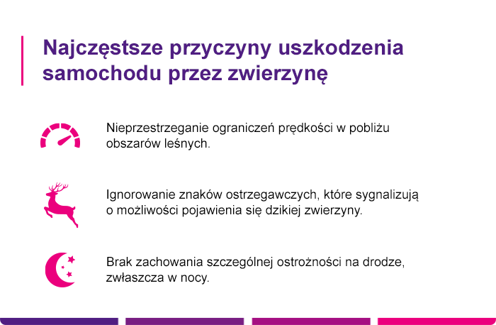 Najczęstsze przyczyny uszkodzenia samochodu przez kunę Najczęstsze przyczyny uszkodzenia samochodu przez kunę - Link4.pl