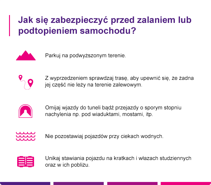 Jak zabezpieczyć samochód przed uszkodzeniem przez kunę - Link4.pl