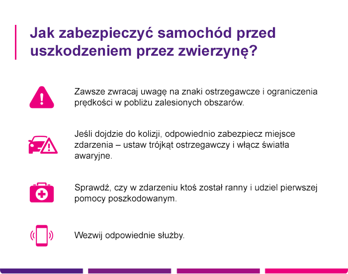 Jak zabezpieczyć samochód przed uszkodzeniem przez kunę Jak zabezpieczyć samochód przed uszkodzeniem przez kunę - Link4.pl