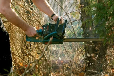 Ręce trzymające piłę w celu wycięcia drzewa