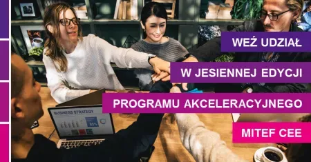 Zdjęcie artykułu